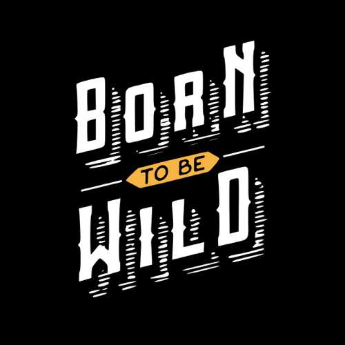 Teesley Portfolio - Born to be Wild